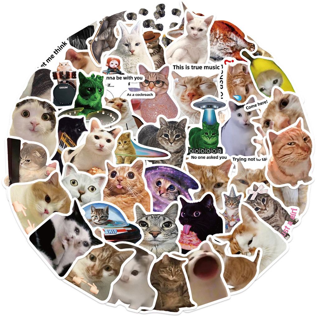 50PCS Viral Cat Meme Stickers  - Tech Gear Accessories recensie en prijs