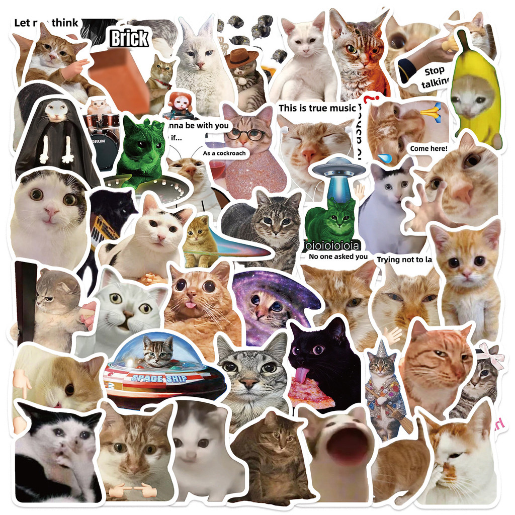 50PCS Viral Cat Meme Stickers  - Tech Gear Accessories recensie en prijs