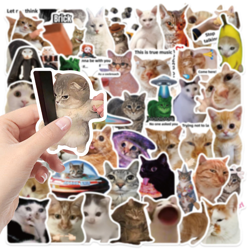 50PCS Viral Cat Meme Stickers  - Tech Gear Accessories recensie en prijs