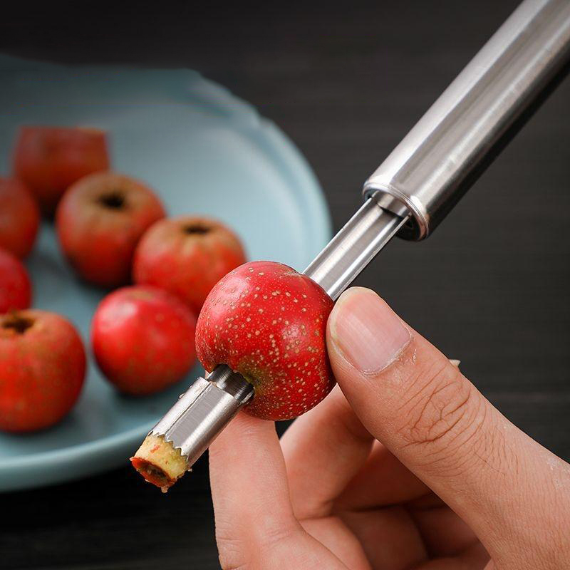 Stainless Steel Fruit Corer Ap - Tech Accessories And Gadgets recensie en prijs